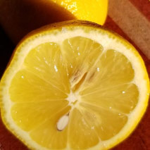 Lemon Peel Hydrosol (unsprayed)